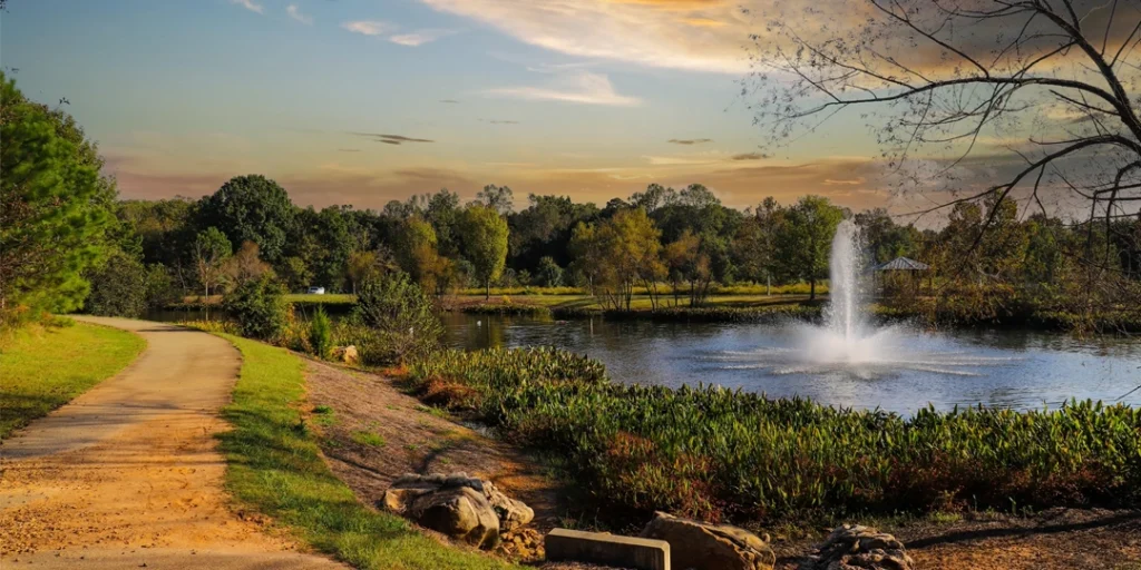 Lush nature view in Alpharetta featured on a real estate blog hub