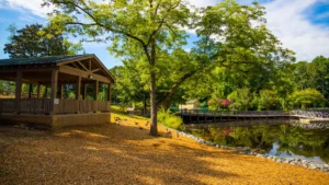Scenic view of lake and natural landscape reflecting market outlook and lifestyle appeal in the area